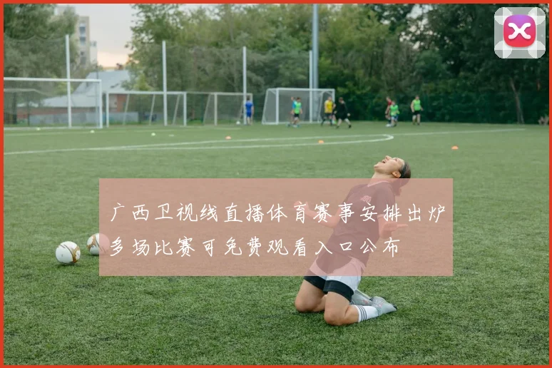 广西卫视线直播体育赛事安排出炉多场比赛可免费观看入口公布