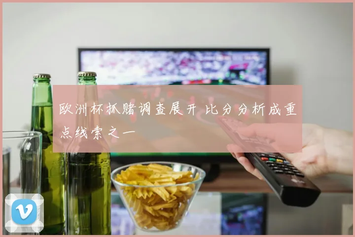 欧洲杯抓赌调查展开 比分分析成重点线索之一