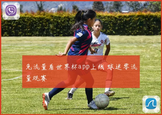 免流量看世界杯app上线 球迷零流量观赛