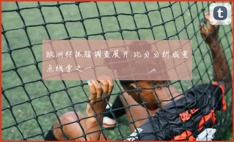 欧洲杯抓赌调查展开 比分分析成重点线索之一